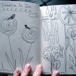 Do Doodling And Sketching Increase Your Creativity?