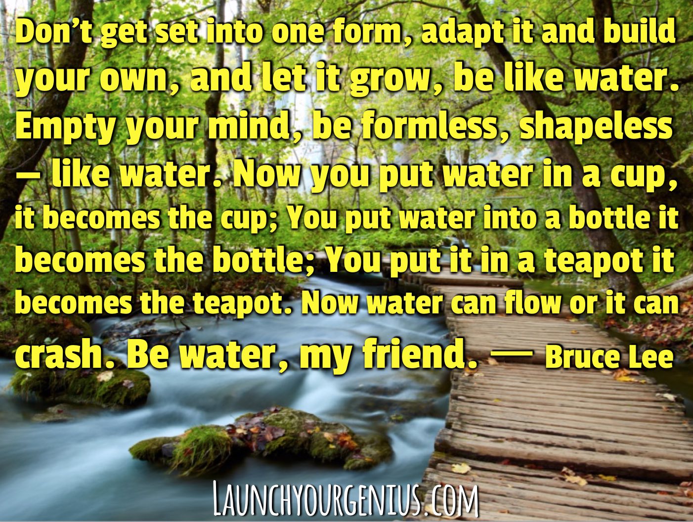 Bruce Lee Water Quotes